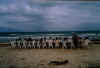 arretplage1.JPG (170991 octets)